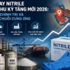 Giá găng tay nitrile bước vào chu kỳ tăng mới năm 2026: Áp lực từ địa chính trị và tái cấu trúc chuỗi cung ứng