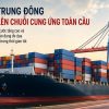 Nguy cơ thiếu hụt găng tay nitrile: Tín hiệu cảnh báo từ thị trường toàn cầu